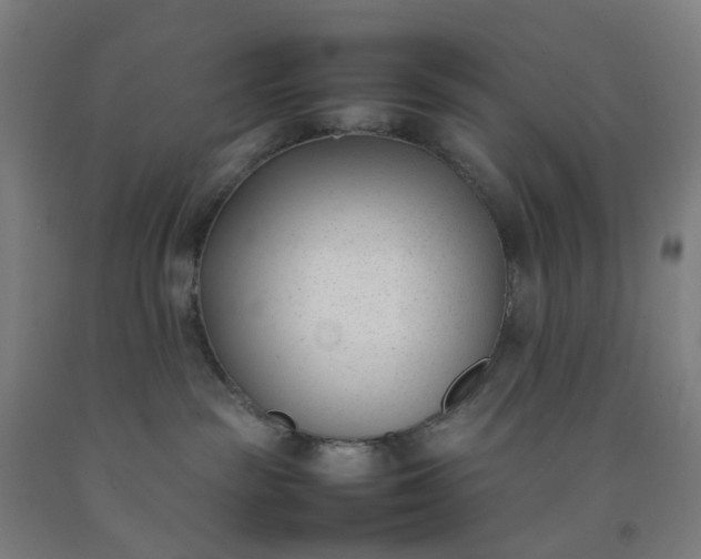 X0000092240189200709281131