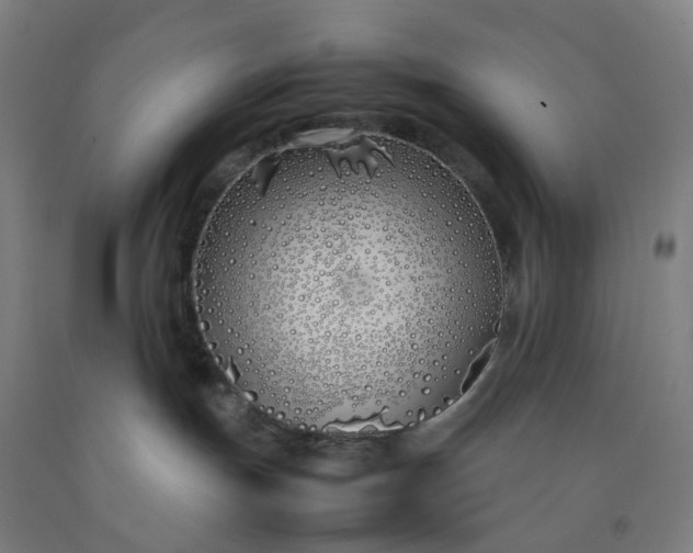 X0000092240191200709281131