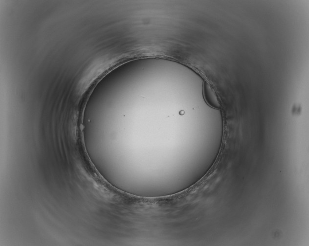 X0000092240194200709281131