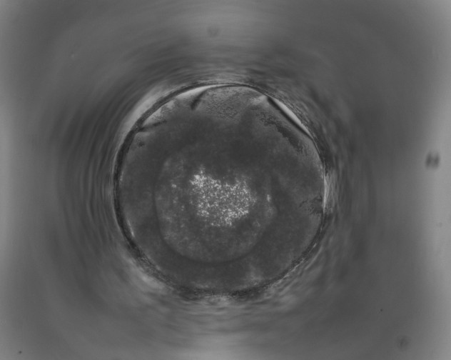 X0000092240195200709281131