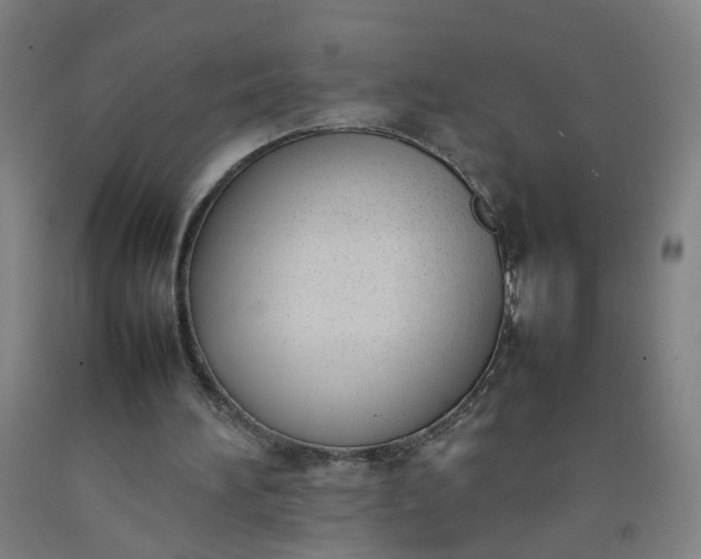 X0000092240196200709281131