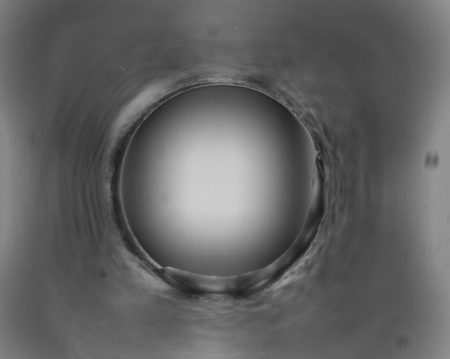 X0000092240197200709281131