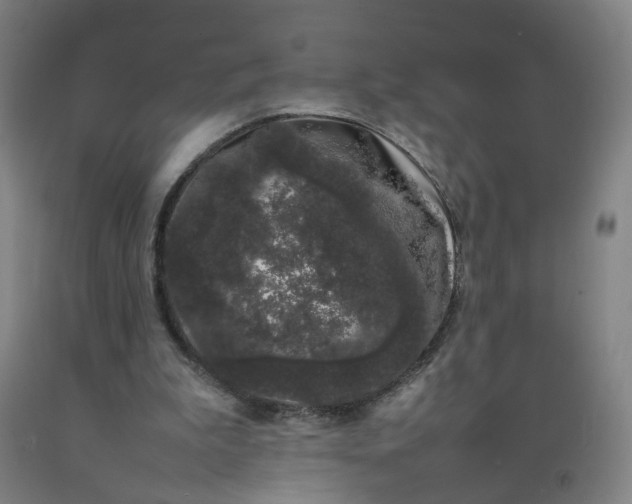 X0000092240199200709281131