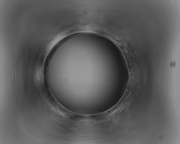 X0000092240200200709281131