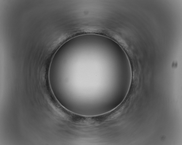 X0000092240201200709281131