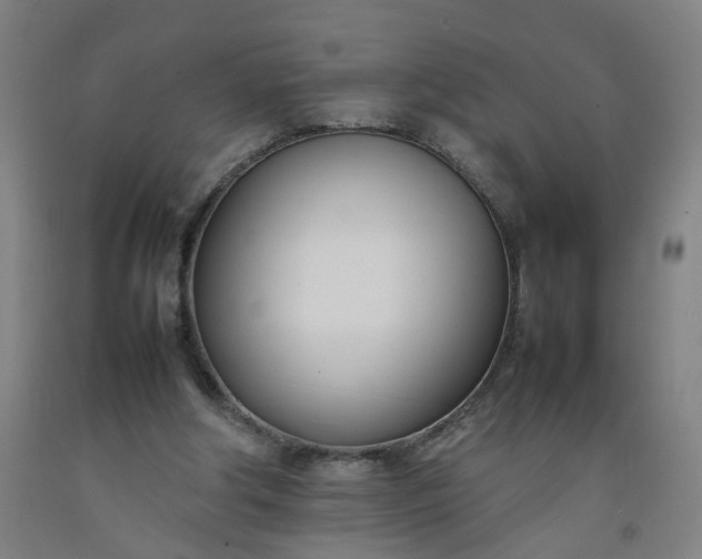 X0000092240202200709281131