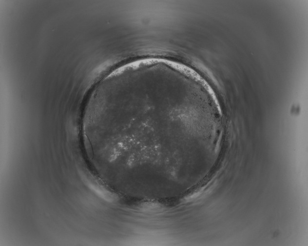 X0000092240203200709281131