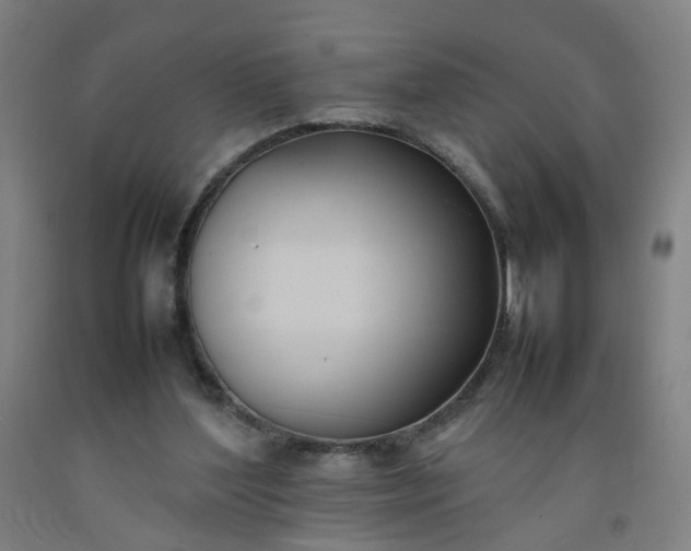 X0000092240204200709281131