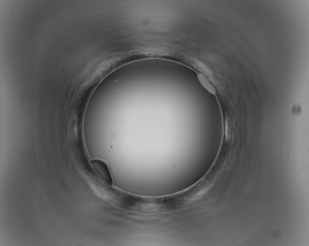 X0000092240205200709281131