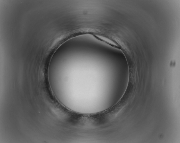 X0000092240207200709281131