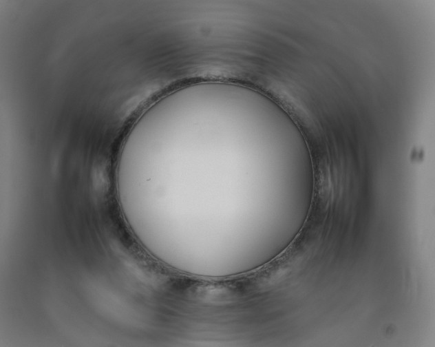 X0000092240208200709281131