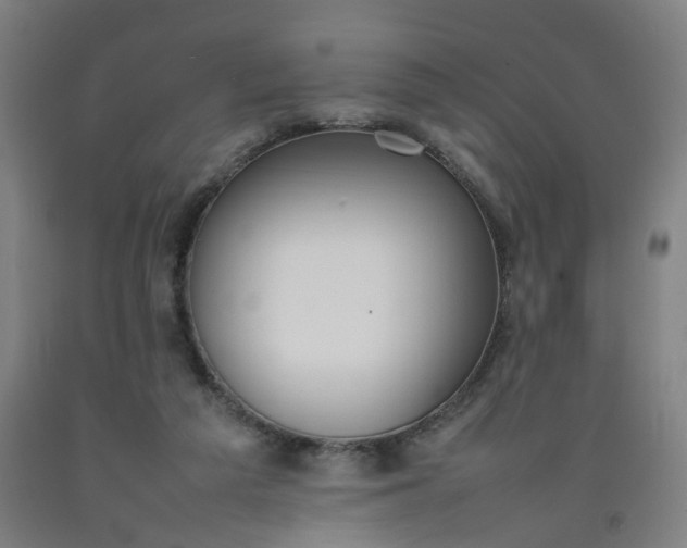 X0000092240209200709281131