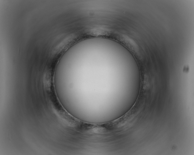 X0000092240210200709281131