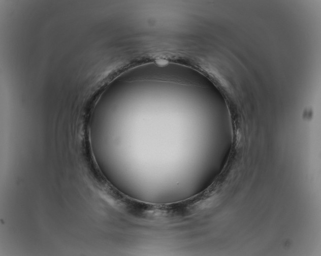 X0000092240211200709281131