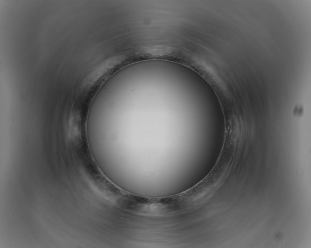 X0000092240212200709281130