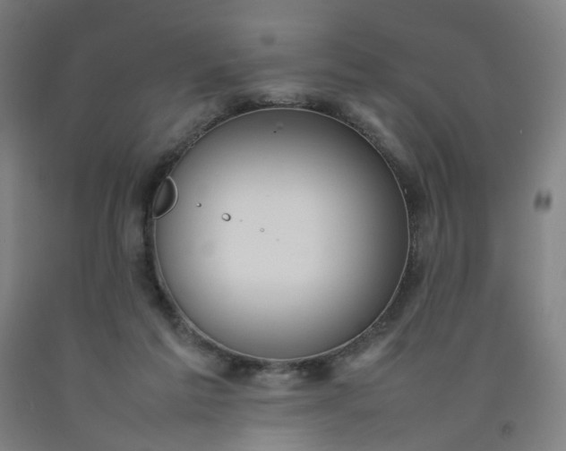 X0000092240213200709281130