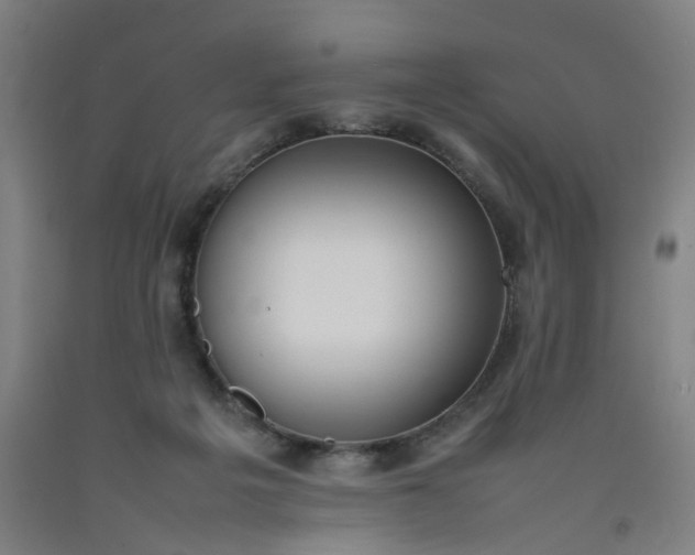 X0000092240217200709281130