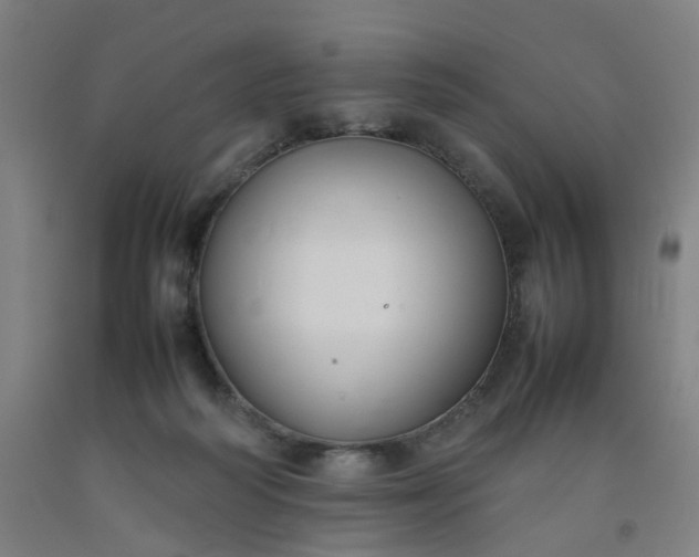 X0000092240218200709281130