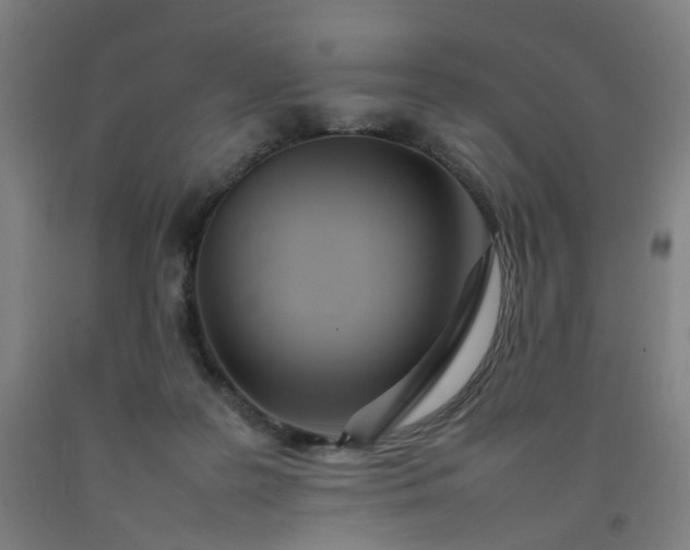 X0000092240219200709281130