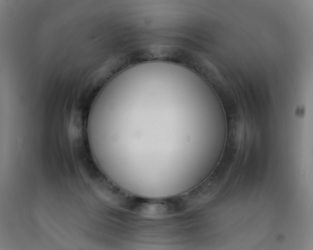 X0000092240220200709281130