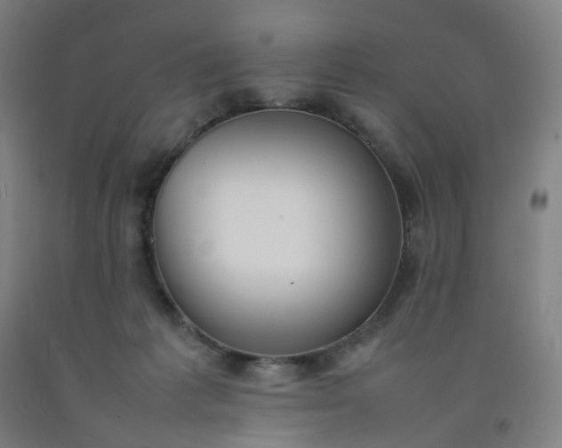 X0000092240221200709281130