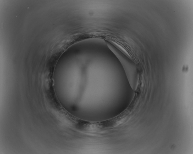 X0000092240223200709281130