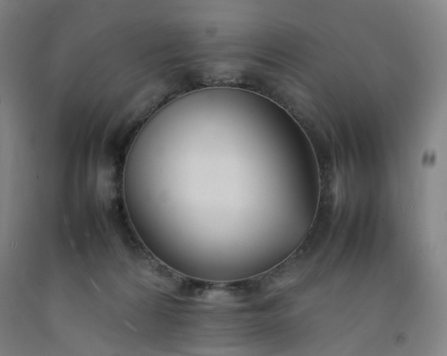 X0000092240224200709281130