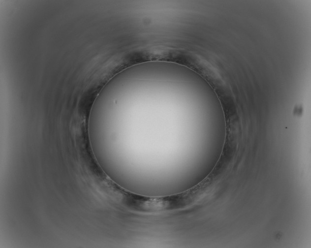 X0000092240225200709281130