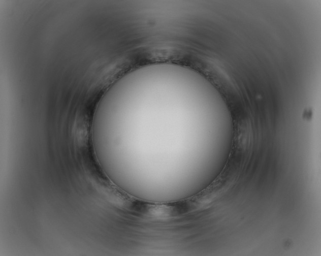 X0000092240226200709281130