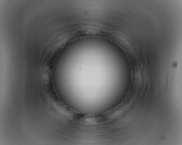 X0000092240228200709281130