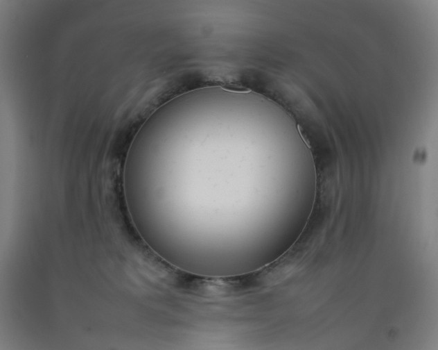 X0000092240229200709281130