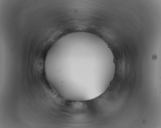 X0000092240230200709281130