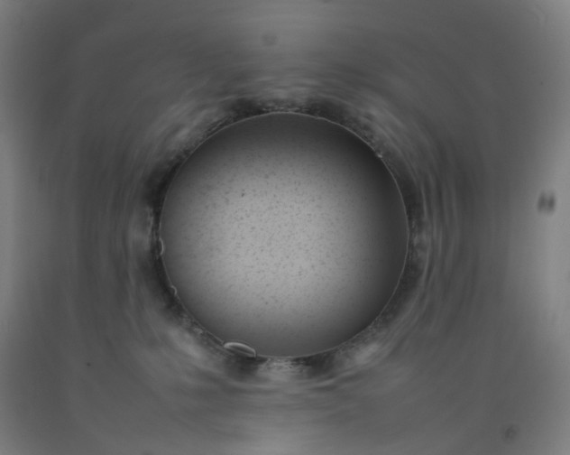 X0000092240231200709281130