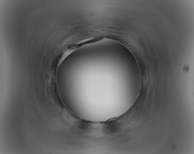 X0000092240233200709281130