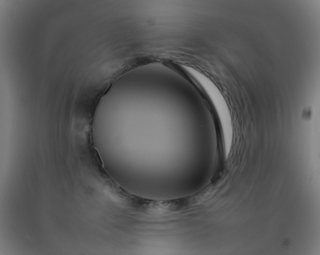 X0000092240235200709281130