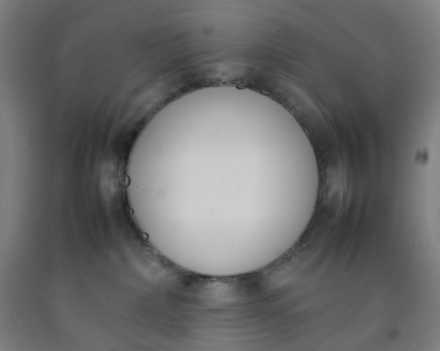 X0000092240236200709281130