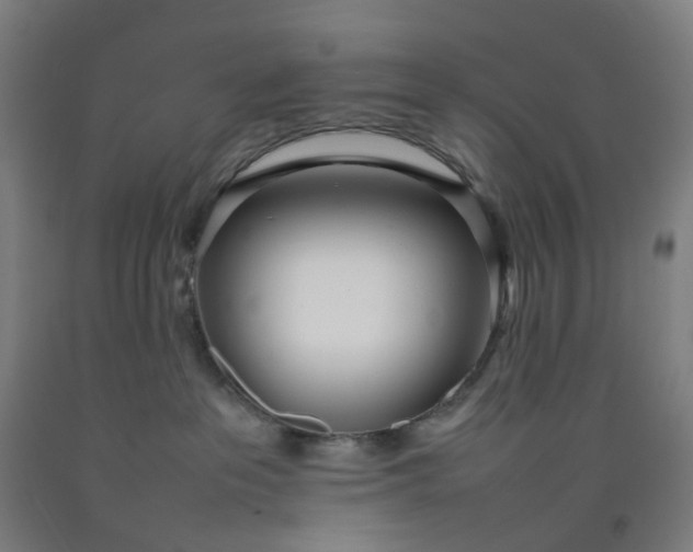 X0000092240237200709281130