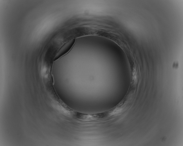 X0000092240239200709281130