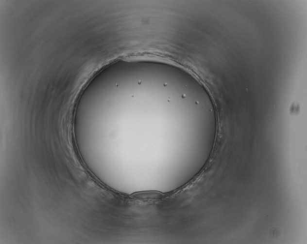 X0000092240241200709281129