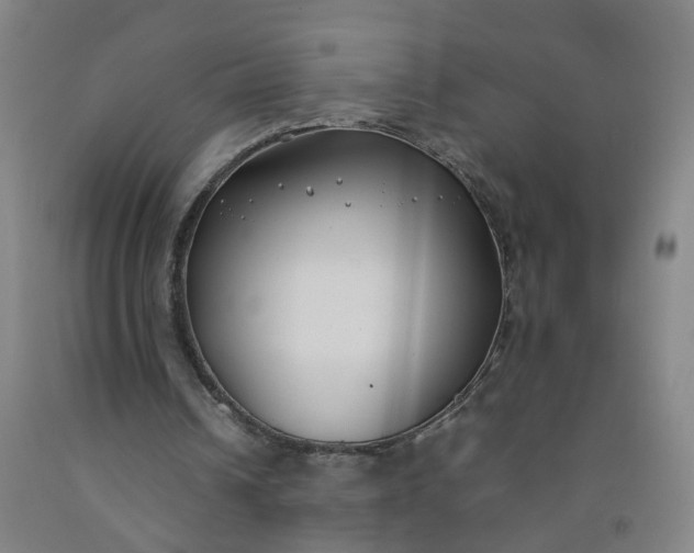 X0000092240242200709281129