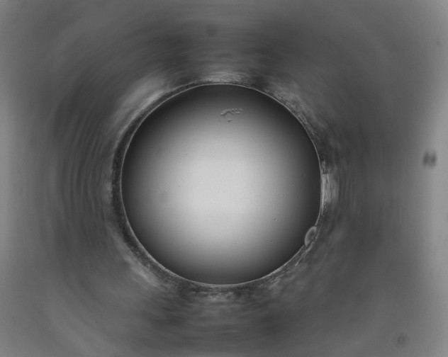 X0000092240243200709281129