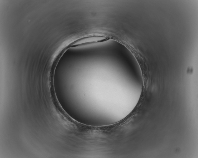 X0000092240244200709281129