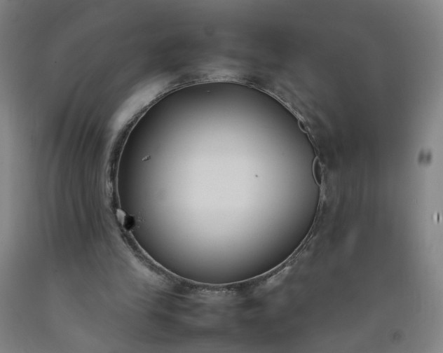 X0000092240245200709281129