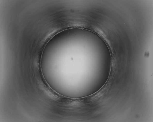 X0000092240249200709281129