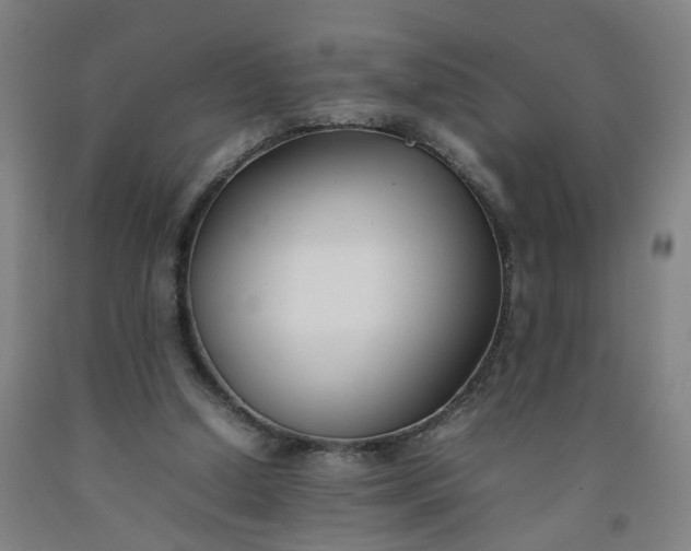 X0000092240250200709281129