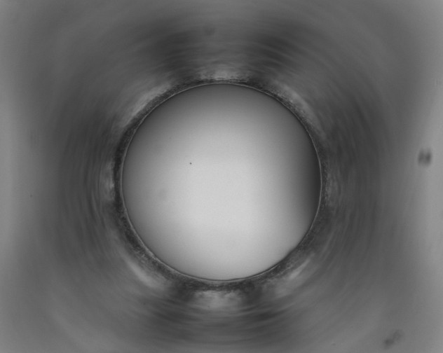 X0000092240251200709281129