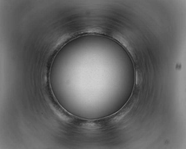 X0000092240253200709281130