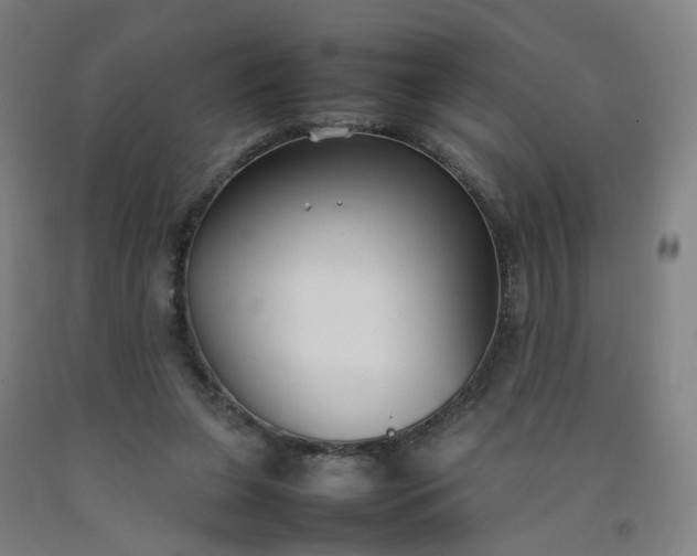 X0000092240255200709281130