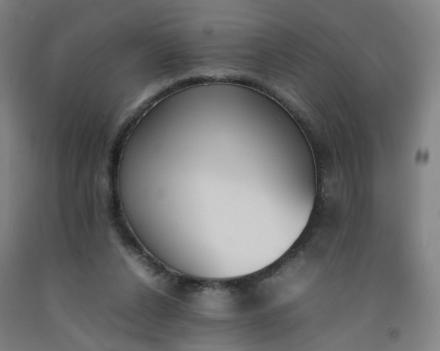 X0000092240256200709281130