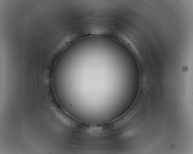 X0000092240257200709281130